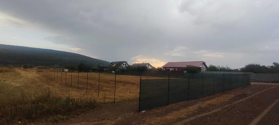 Oază de liniște și natură: Teren intravilan de 940 mp în Hemeiuș, Bacău - 3