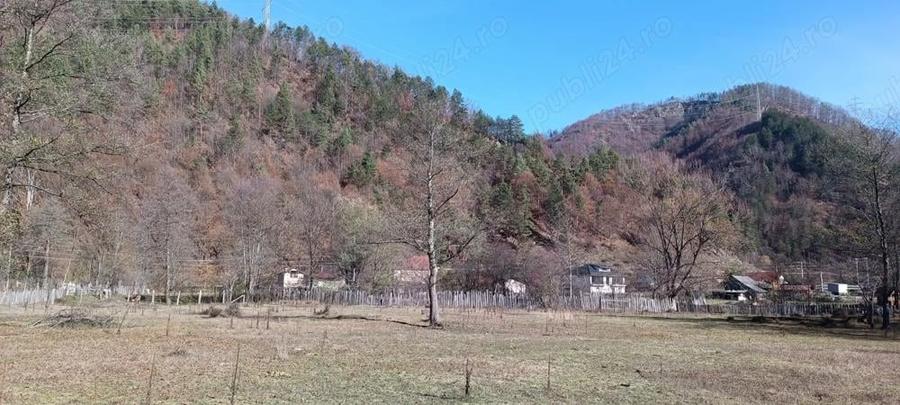 Vand teren intravilan Brezoi - 4