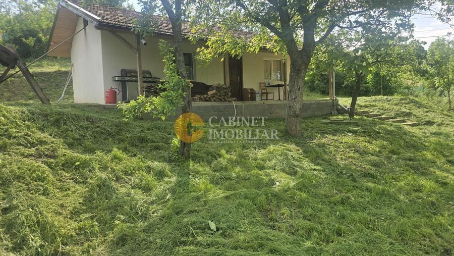 Oază de liniște și natură! Casă  cu 2 heleșteie și pârâu în curte – Probota - 1