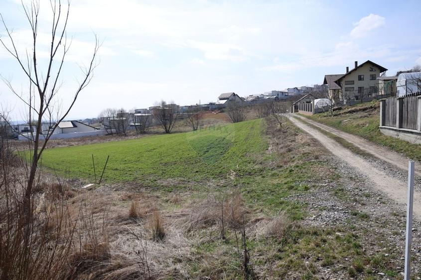 Teren 3,500mp Moara / Strada Pprincipala - 11