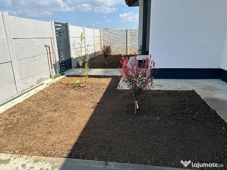 Casa de vanzare Berceni (vidra) - 7