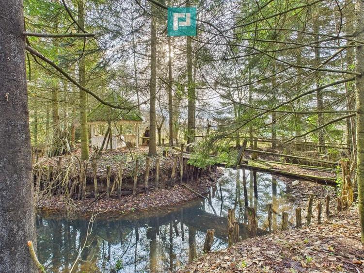 Vand casa D+P+E in Rosia Noua (com. Petris) - 3