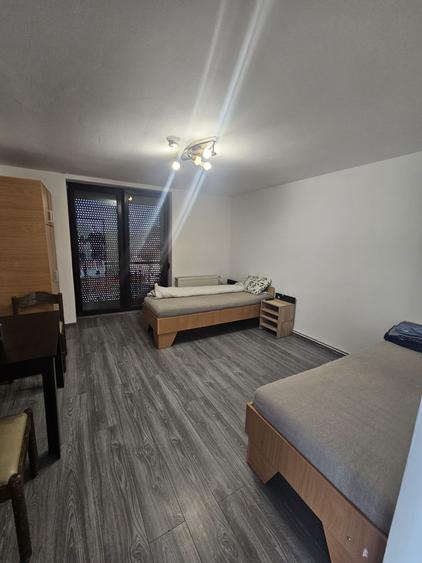 Proprietate speciala Dumbravita - casa individuala !! - 35