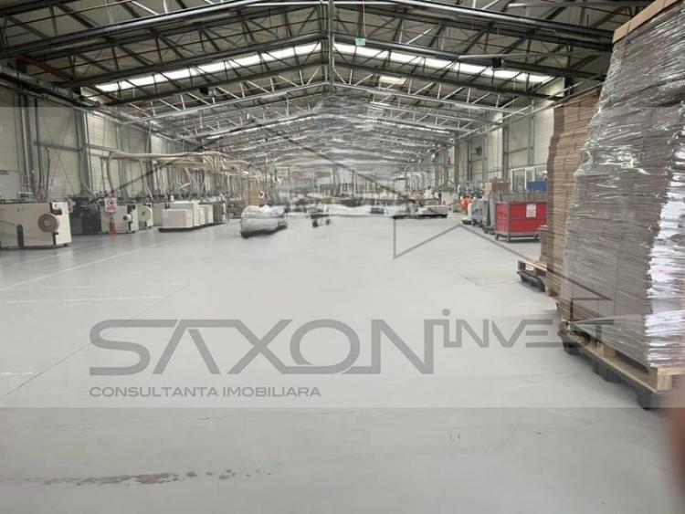 STEFANEȘTII DE JOS  - PARC INDUSTRIAL - hală depozitare 1515 mp - 8