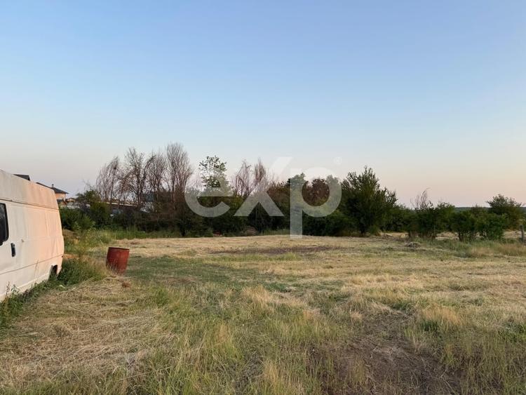 Teren 1650 mp intravilan Trivale - Olteni – cadru natural langa Padure - 2