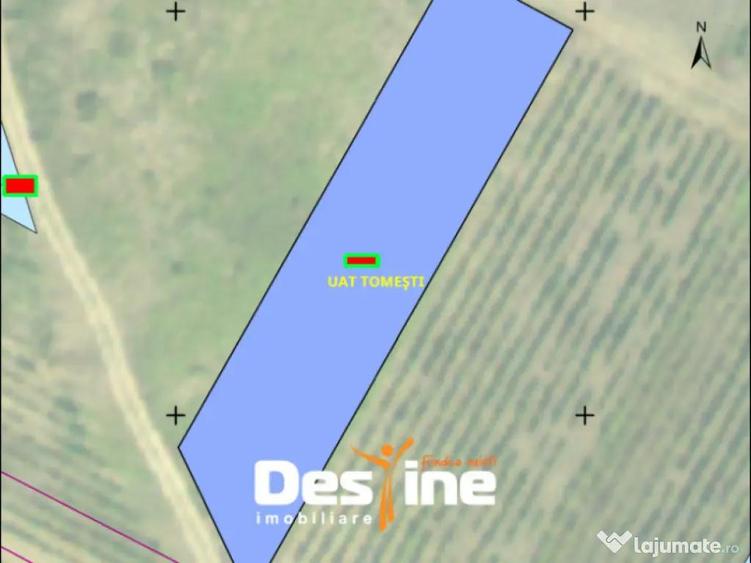 Teren Chicerea, 1250 mp, zona in plina dezvoltare, 25 eur - 1