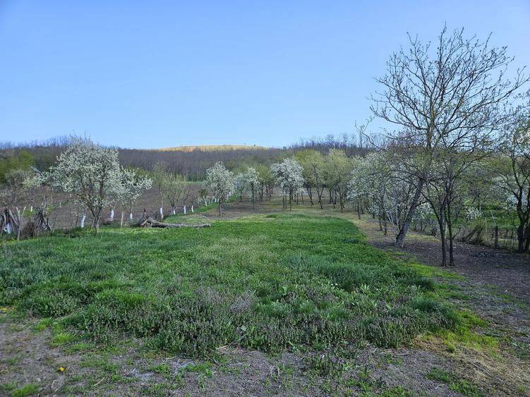 Casa cu teren de vanzare - 3