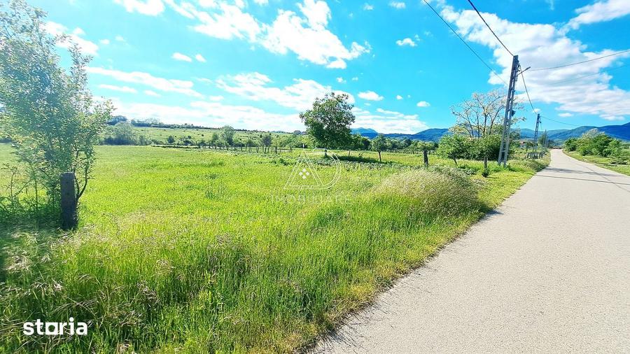 Teren Valea Mare Runcu Gorj Lini?te ?i Natura - 6