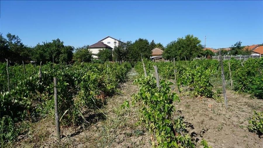 Teren stradal cu casa veche in Podari - toate utilitatile - 7