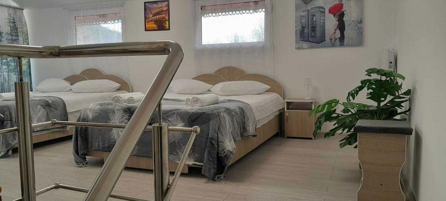 Casa la munte aproape de Paltinul - 6