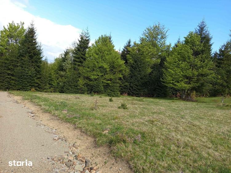 TEREN DE VANZARE Piatra Fantanele/TIHU?A - 4