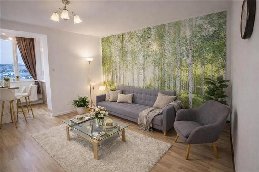 Garsoniera moderna, etaj intermediar, cadru natural, Noua Brasov - 1