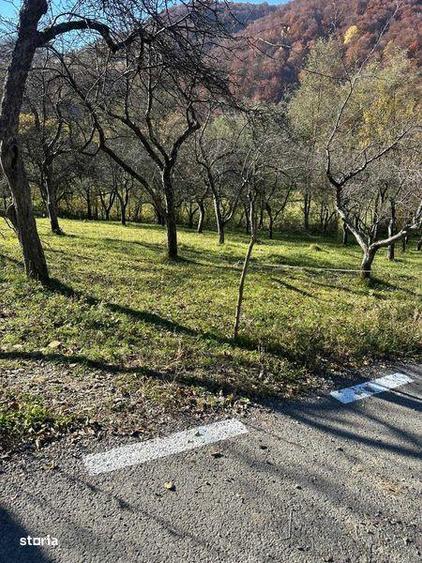 Vand teren extravilan in comuna Cosbuc ,33 arii - 5