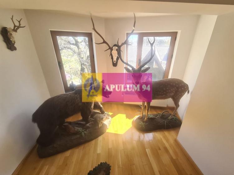 Vila de vanzare in Breaza - Zona Breaza de Sus - 38