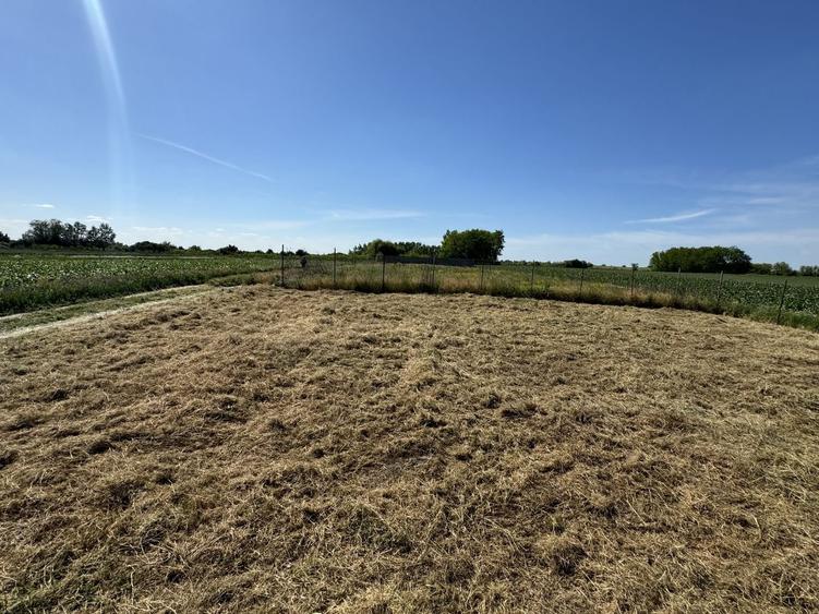 Teren intravilan 400 mp de vanzare in Sanpaul - 5