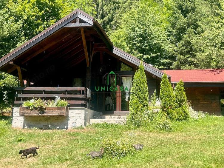 Casă cu Teren 2560 Mp în Voineșița