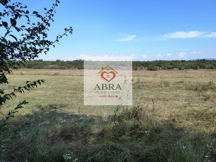 Teren intravilan investitie - 3