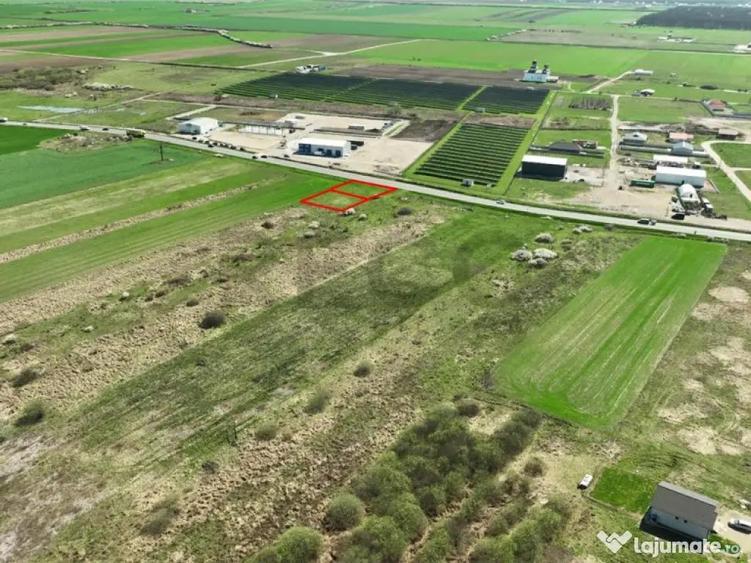 RECO, teren intravilan in Osorhei - 4