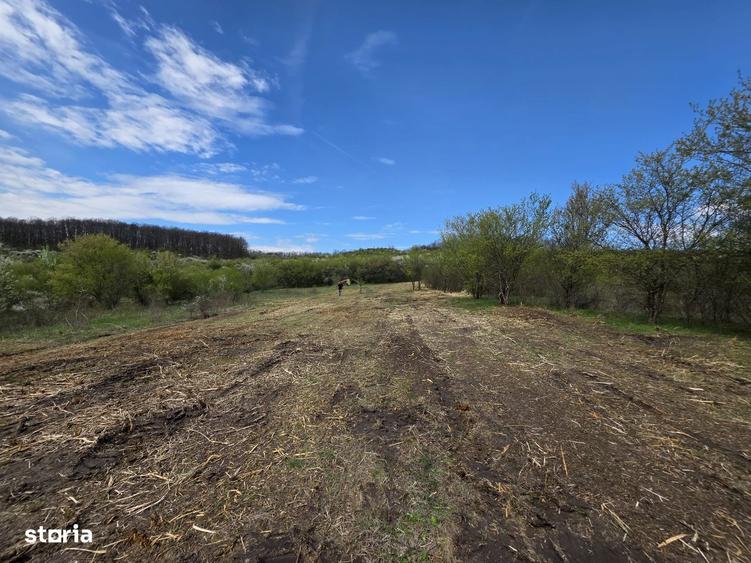 De vanzare teren intravilan Barsau, jud. Hunedoara - 16