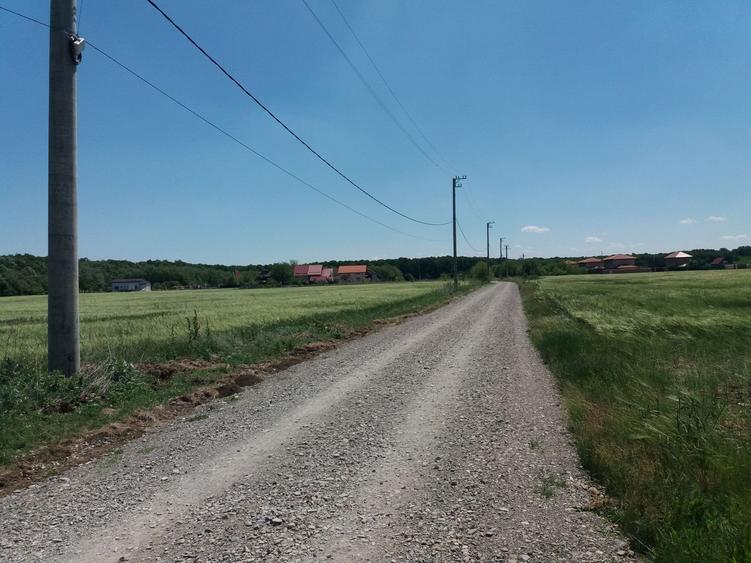 Teren intravilan inconjurat de padure, Ciofliceni, Snagov, comision 0 - 7