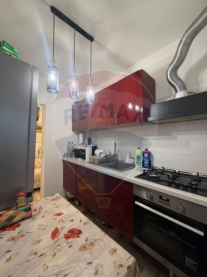 Garsoniera decomandata, 32mp, Brazda lui Novac, bloc 2023 - 9