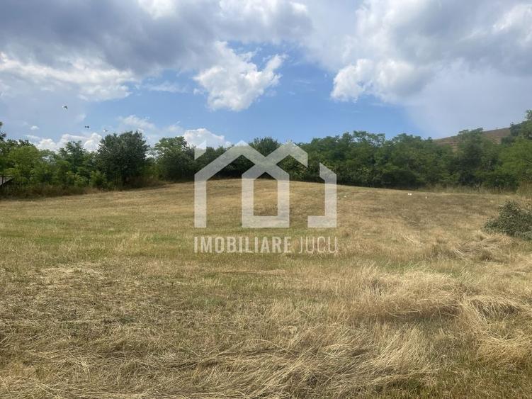 Teren Intravilan Constructrii 2258mp - Gadalin - 4