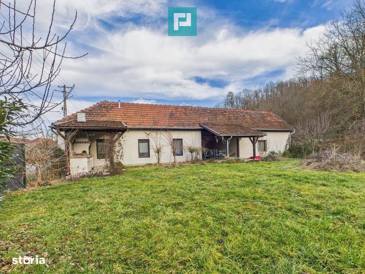 Casa deosebita in rate - Urvisu de Beliu - 8
