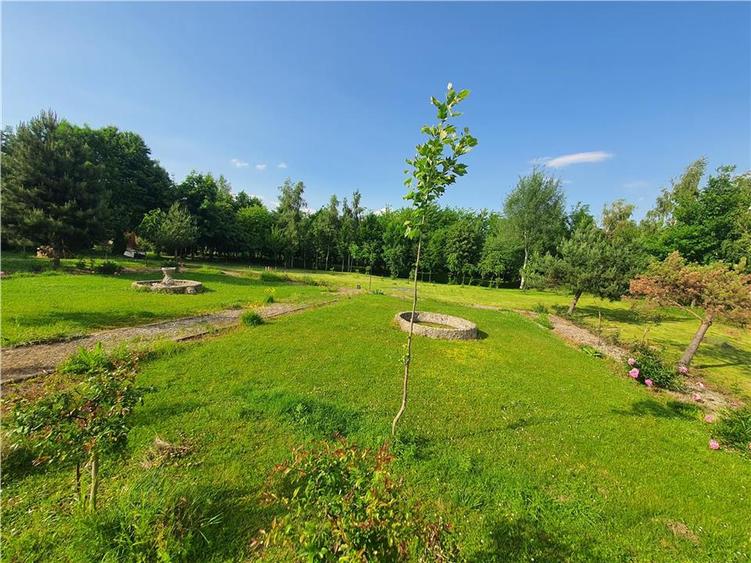 Teren intravilan Sacel -zona lacuri -ultimul lot de 900mp - 5