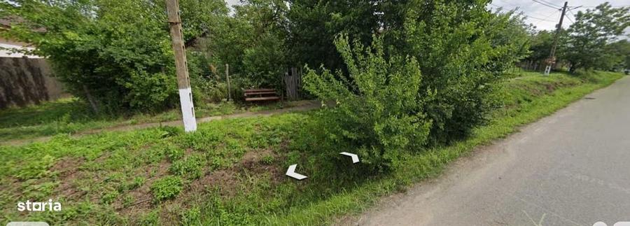 Teren intravilan Gogosari, 2.580 mp - 1