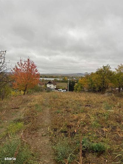 Teren de vanzare Podgoria - 2