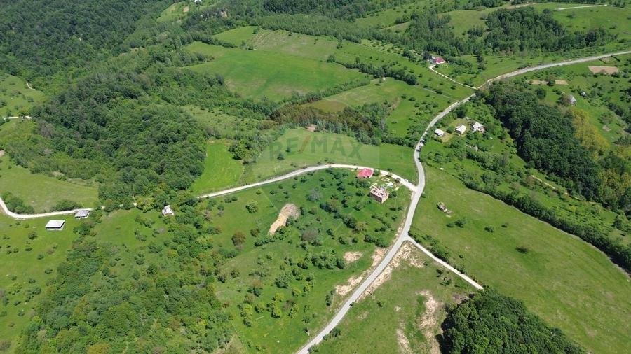 DE VÂNZARE – Teren intravilan 3 hectare, in Codrul Butesii, Maramures - 5