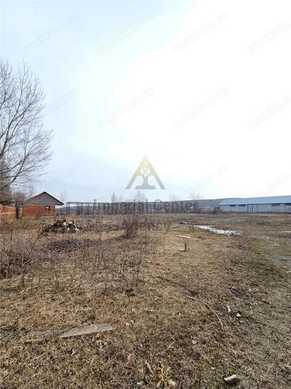 Teren Platou Premium, 57.662 mp, Deschidere Generoas #259; 400 ml la DJ One #537;tiAdjud - 10