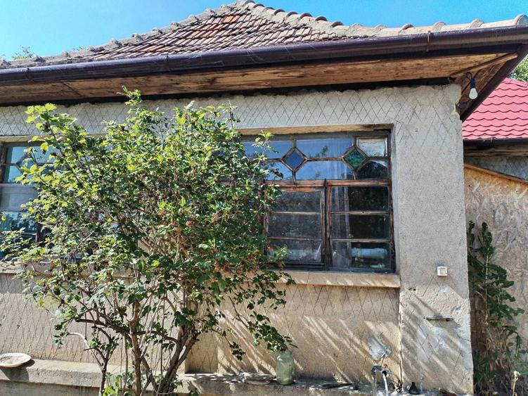 Casa locuibila + teren 2100 mp de vanzare Tamaseni, Satu Mare - 4