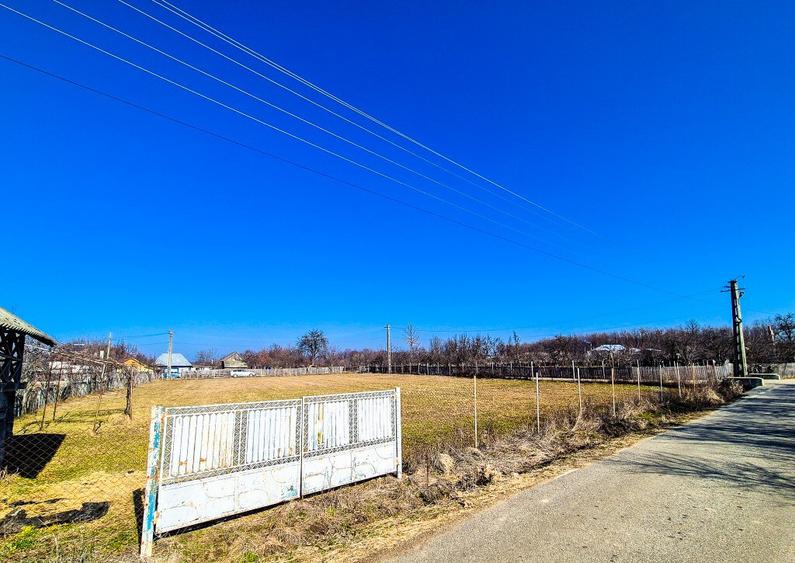 Teren Intravilan Cuca Arges - 15