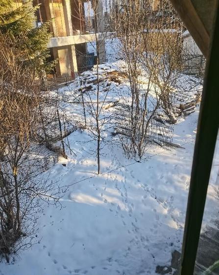 Predeal-Casa de vacanta - 8