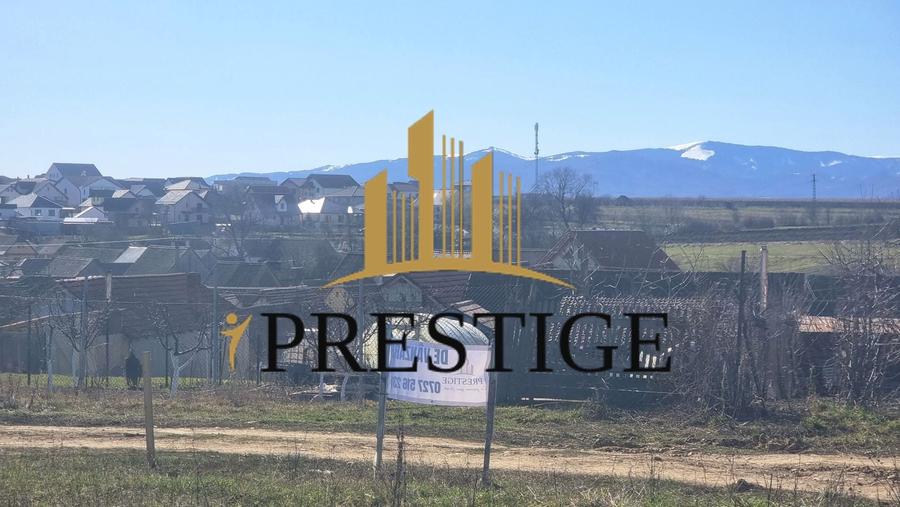 TEREN EXTRAVILAN 873 MP DE VÂNZARE ȘURA MICĂ | POTENȚIAL INTRAVILAN - 8