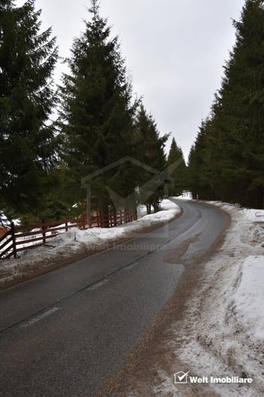 Cabana de vanzare in Muntele Baisorii aproape de partie - 20