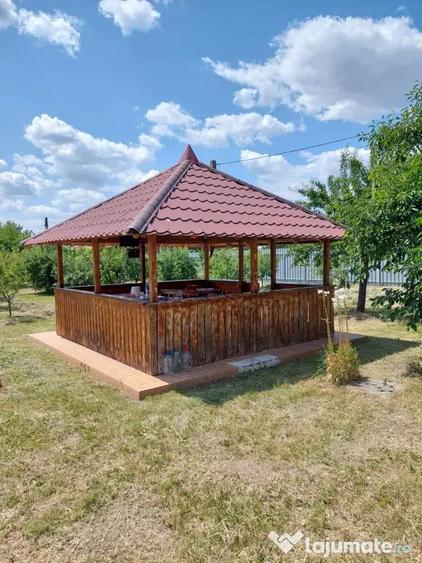Casă cu 2 camere cu Teren 4500 Mp în Ionești