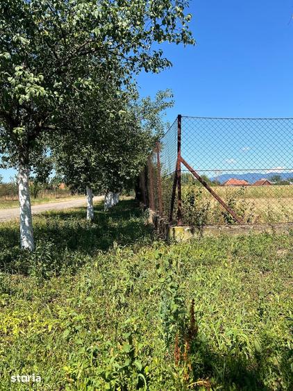 Teren de 1500 mp, în Bocsig
