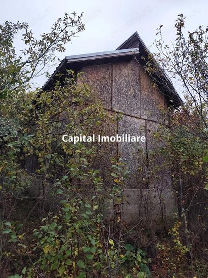 Casa Veche, Central Drajna de Jos 5000 mp - 1