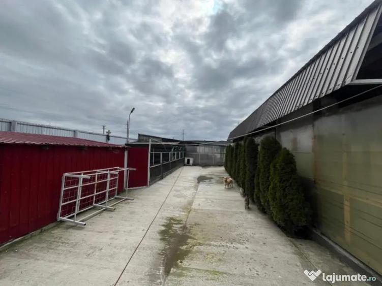 Teren intravilan I?alni?a oportunitate excelenta pent - 8