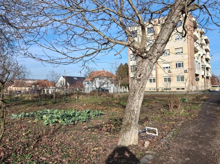 BRASADAS vinde 2000 mp. teren intravilan Diana Titulescu. - 5