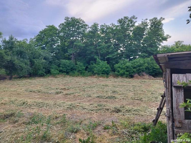 Teren intravilan plus casa de vanzare aproape de Dunare - 7