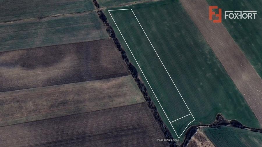 Teren intravilan in Sacalaz - Oportunitate de investitie - 3