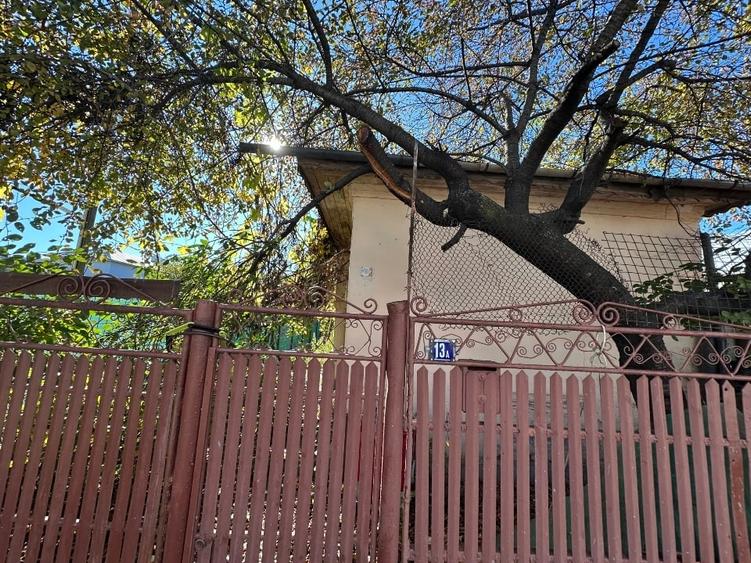 Casa bătrânească și teren - 4