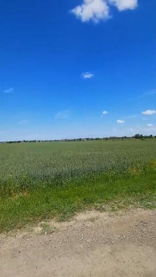 Ocazie! Domnesti-Ghioceilor, Ideal investitie - 3