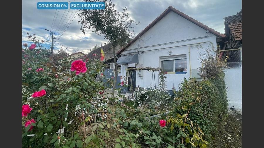 Casa cu garaj in Calnic, 231 mp construiti - 1