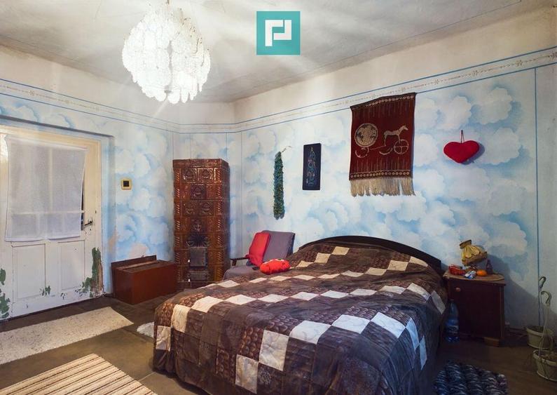 Reziden?a de vis pe Valea Mure?ului la Lala?in? - 4