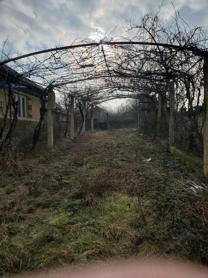 Casa de vanzare in Balaia, jud Bihor - 1