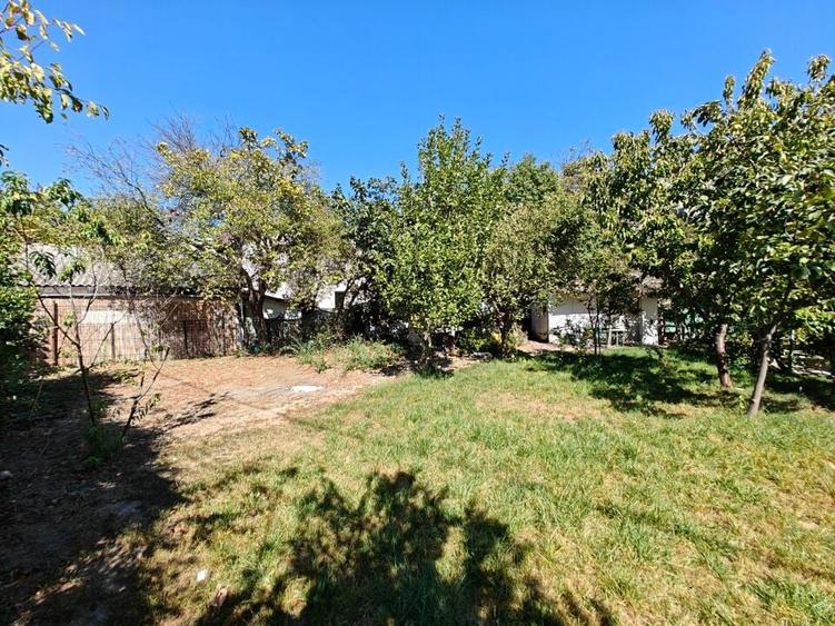 VANZARE TEREN MANGALIA - 15